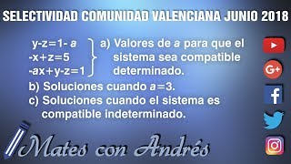 Examen selectividad Comunidad Valenciana Junio 2018 Matemáticas II Opción A1 Álgebra [upl. by Daisie]