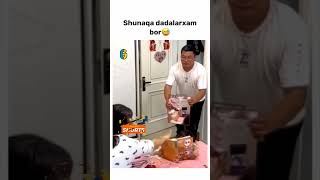 SHUNAQA DADALARXAM BOR 😂❤️funny 1mln comedyvideos instagram subscribe japan rek rells [upl. by Shanney]