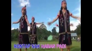 Lagu Dayak Kabupaten Sekadau KONDAN PANTO RONTAP [upl. by Efioa]