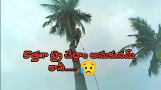 Coconut tree cutting skillsamazing coconut tree cutting Prabhatreecutting [upl. by Hymie]