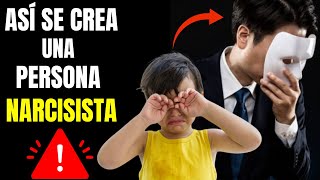 ¿Cómo se origina el TRASTORNO NARCISISTA Todas las Respuestas TPN [upl. by Rhtaeh]