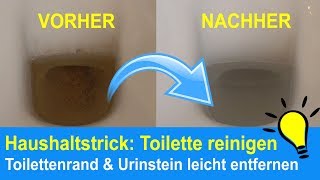 Toilette reinigen Toilettenränder amp Urinstein beseitigen  Kalkflecken entfernen [upl. by Suivatna]