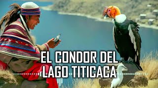 EL CONDOR DEL LAGO TITICACA [upl. by Ecinert]