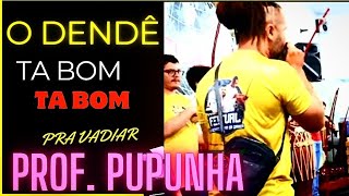 MELHORES MÚSICAS DO PROFESSOR PUPUNHA ABADÁ CAPOEIRA [upl. by Olegnad956]