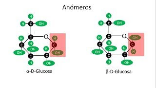 Carbohidratos  Anómeros alfa y beta de la glucosa [upl. by Davies635]