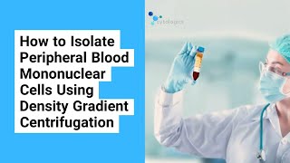 How to Isolate PBMCs Using Density Gradient Centrifugation [upl. by Osric]