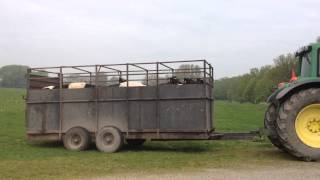 Lakenvelders op landgoed Heerlijkheid Mariënwaerdt [upl. by Neerhtak]