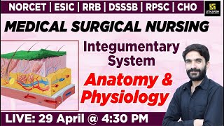 MSN Integumentary System Anatomy amp Physiology  For NORCET  RRB  DSSSB  RPSC  CHO By Raju Sir [upl. by Nyltyak]