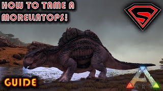 ARK HOW TO TAME A MORELLATOPS 2020  EVERYTHING YOU NEED TO KNOW ABOUT TAMING A MORELLATOPS [upl. by Tehr]