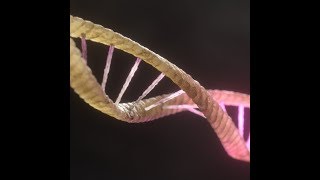 DNA String Visualization [upl. by Ymmor576]