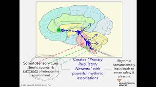 5 Understanding Regulation Neurosequential Network Stress amp Trauma Series [upl. by Vivyan]