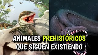 6 Animales Prehistóricos Que Siguen Existiendo Hoy En Día [upl. by Ayra]