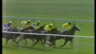 1984 Juddmonte Lockinge Stakes [upl. by Arnelle]