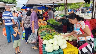 NAS FEIRAS DO NORDESTE 3 Kg DE BATARA É 500 OLHA ISTO BRASIL [upl. by Faludi]