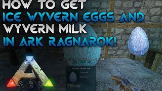 How to get an ice wyvern amp wyvern milk Easy  Ark Ragnarok [upl. by Tyrone141]