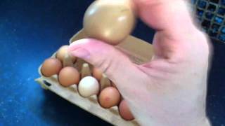 Egg Shakers percussion piece quotPercuShakerquot [upl. by Teufert]