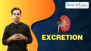 Excretion  Renal Failure and Dialysis  Excretory System in Human  Disorder of Kidney [upl. by Anahpos17]