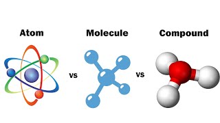 Atom Molecule and Compounds concept [upl. by Marylin]