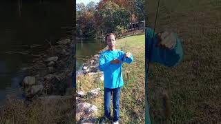 BLUEGILL FISHING WITH PAW PAW LIVE SCOPE [upl. by Gorski892]