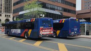 CDTA Greyhound and trailways bus action in downtown Albany and Troy NY S1EP32 [upl. by Otipaga]