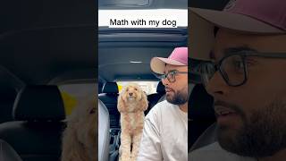 Mini Cockapoo Tries to Solve 1st Grade Math Questions 😳 [upl. by Anjela]