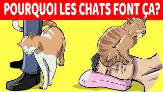 15 Comportements De Chat Les Plus Étranges Expliqués [upl. by Penland]