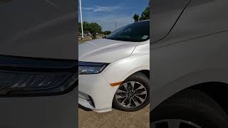 2024 Honda Odyssey EX L Fleur De Lis Pinstripe [upl. by Obie]