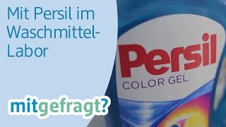 Wäsche sauber waschen Im WaschmittelLabor von Persil  dm mitgefragt Folge 25 [upl. by Isolde]