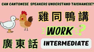 CC Can Cantonese Native Speakers Understand Taishanese  Cantonese Conversation Intermediate 廣東話 [upl. by Ahset]