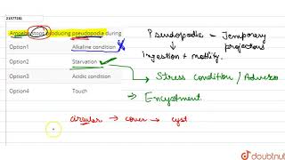 Amoeba stops producing pseudopodia during [upl. by Yroc953]