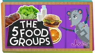 The 5 Fabulous Food Groups [upl. by Anitsyrhk]