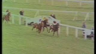 1982 Highland Spring Derby Trial Stakes [upl. by Iredale]