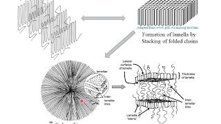 Polymer Crystallization  Hindi [upl. by Faires]