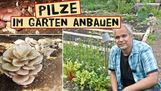 Pilze im Garten anbauen  Pilzbeet richtig anlegen und Jahrelang ernten  Braunkappen Austernpilze [upl. by Goldsmith]