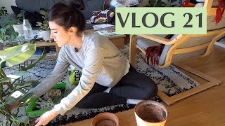 Potager urbain rempotage boutures amp recette  VLOG 21 [upl. by Itin712]