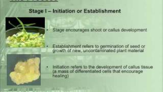 What is Micropropagation [upl. by Ttemme]