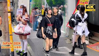 4k hdr japan travel 2024  Walk in Akihabara（秋葉原）Tokyo Japan  Relaxing Natural City ambience [upl. by Weatherby]