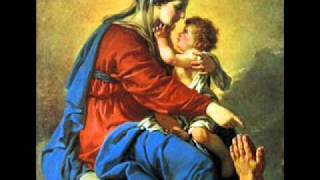 Salve Mater Misericordiae  Catholic Song of Praise to Mary [upl. by Leinad417]