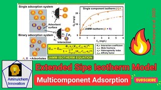 Extended Sips Isotherm Model for Multicomponent Adsorption [upl. by Tay720]