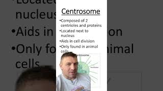 Centrosome vs Centrioles [upl. by Goddart]