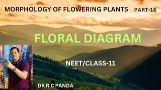 MORPHOLOGY OF FLOWERING PLANTS  FLORAL DIAGRAM NEET  CLASS11  DR RAMESH CHANDRA PANDA [upl. by Kilar802]