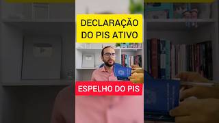 ESPELHO DO PIS OU DECLARAÇÃO DO PIS ATIVO [upl. by Anauqes421]