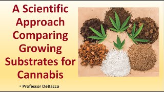 A Scientific Approach Comparing Growing Substrates for Cannabis [upl. by Valenka]