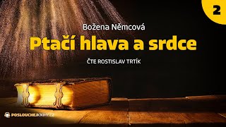 Božena Němcová Ptačí hlava a srdce 24 [upl. by Lanctot]