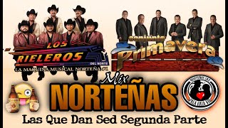 Conjunto Primavera Ft Rieleros Del Norte Norteñas Mix Las Que Dan Sed Segunda Parte Edit 2020 [upl. by Thisbe]