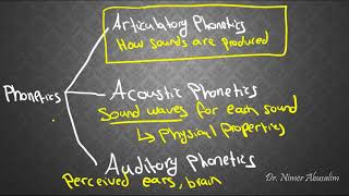 PHONETICS4 Articulatory Phonetics amp Voicing [upl. by Uaerraj]