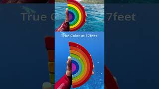 Underwater color test at 40ft12m 🎨 DJI Osmo Action 5 Pro 🎬 roamtobewild7801 [upl. by Arykat920]