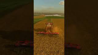 MULCHING the SUNFLOWERS stubble  Zielonka  Farming Simulator 22 [upl. by Bernt]