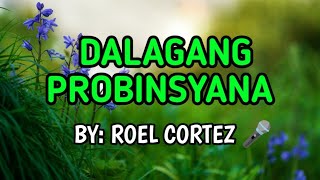 Dalagang Probinsyana  Roel Cortez KARAOKE VERSION [upl. by Atiuqer159]