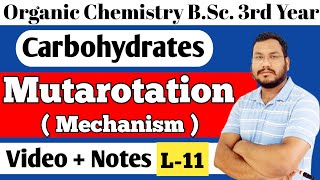 Mutarotation with Mechanism Carbohydrates BSc 3rd year organic chemistry [upl. by Katzen894]